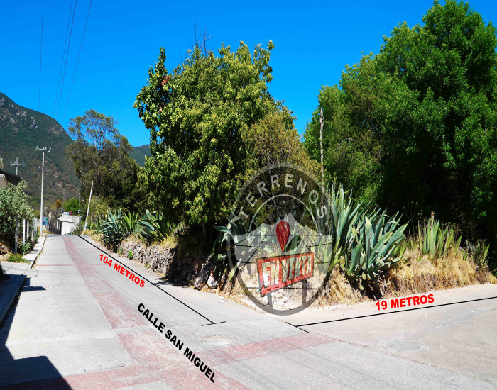 Fotografia del lote