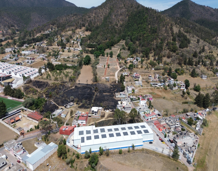 Fotografia del lote